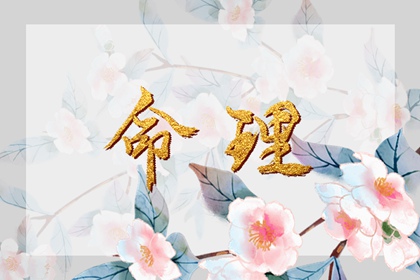 择吉日查询|择吉老黄历皇历|择吉黄历